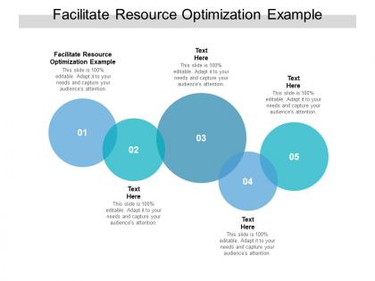 Facilitate resource optimization example ppt powerpoint presentation slides information cpb
