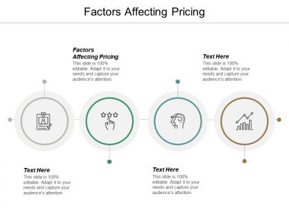 Factors affecting pricing ppt powerpoint presentation portfolio outline cpb