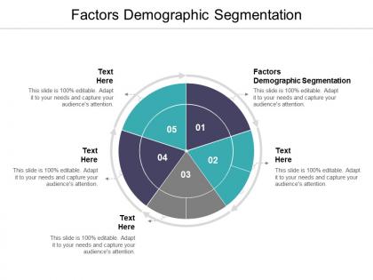 Factors demographic segmentation ppt powerpoint presentation portfolio outline cpb