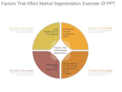 Factors that affect market segmentation example of ppt