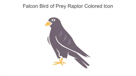 Falcon Bird Of Prey Raptor Colored Icon In Powerpoint Pptx Png And Editable Eps Format