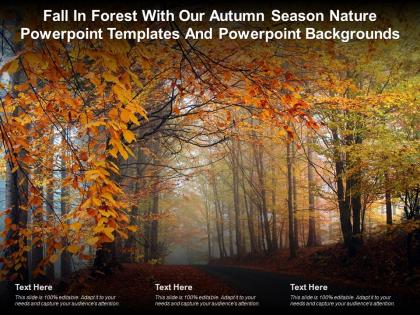 Fall in forest with our autumn season nature powerpoint templates and powerpoint backgrounds