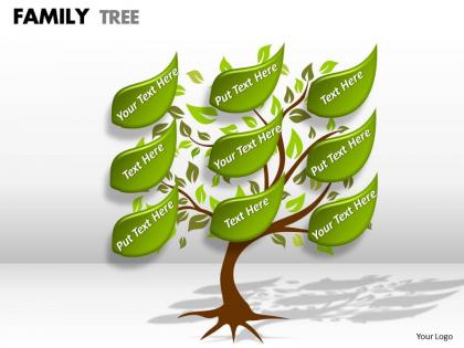 Family tree 1 10