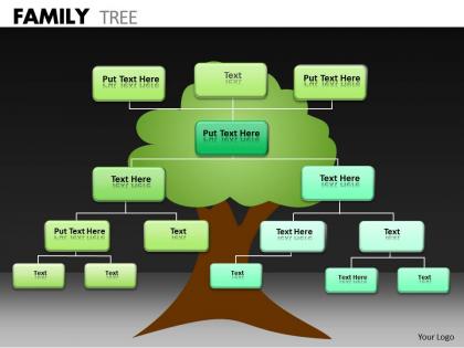 Family tree ppt 24
