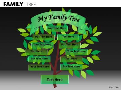 Family tree ppt 9