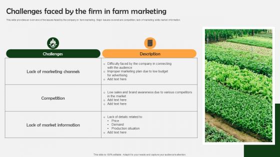 Farm Produce Marketing Approach Challenges Faced By The Firm In Farm Marketing Strategy SS V