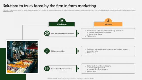 Farm Produce Marketing Approach Solutions To Issues Faced By The Firm In Farm Strategy SS V