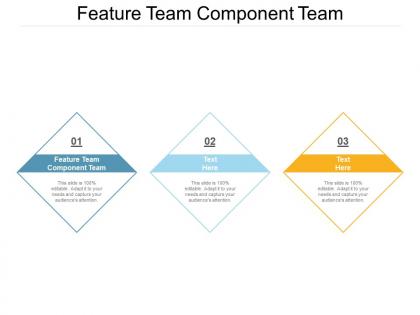 Feature team component team ppt powerpoint presentation pictures example cpb