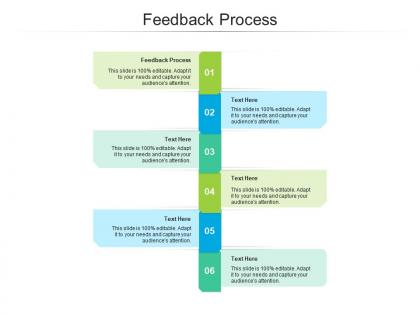 Feedback process ppt powerpoint presentation show designs download cpb