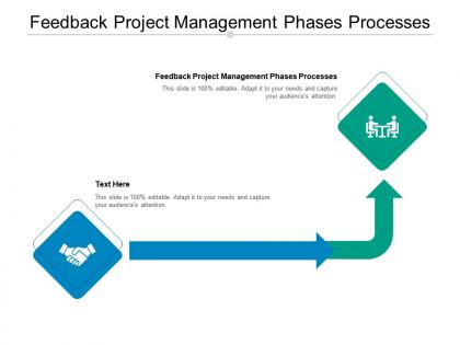 Feedback project management phases processes ppt powerpoint presentation inspiration backgrounds cpb