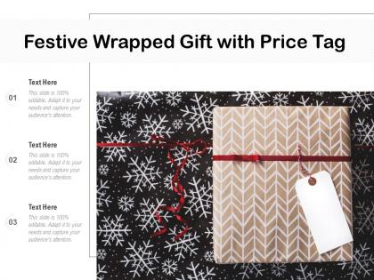 Festive wrapped gift with price tag