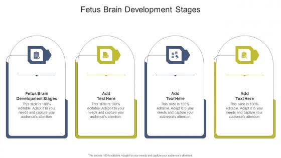 Fetus Brain Development Stages In Powerpoint And Google Slides Cpb