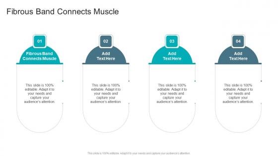 Fibrous Band Connects Muscle In Powerpoint And Google Slides Cpb