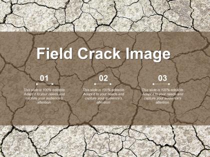 Field crack image