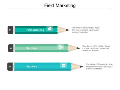 Field marketing ppt powerpoint presentation file structure cpb