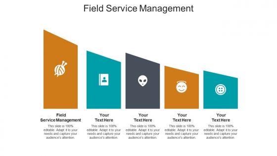 Field service management ppt powerpoint presentation icon portrait cpb
