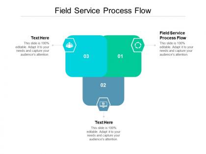 Field service process flow ppt powerpoint presentation inspiration layouts cpb