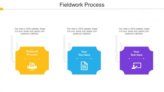 Fieldwork Process Ppt Powerpoint Presentation Gallery Example Introduction Cpb