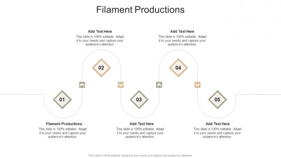 Filament Productions In Powerpoint And Google Slides Cpb