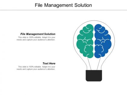 File management solution ppt powerpoint presentation icon smartart cpb