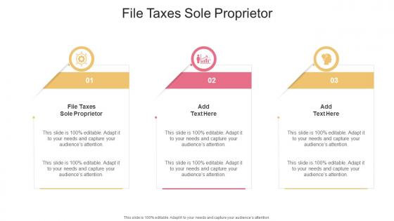 File Taxes Sole Proprietor In Powerpoint And Google Slides Cpb