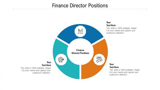Finance director positions ppt powerpoint presentation gallery graphics template cpb