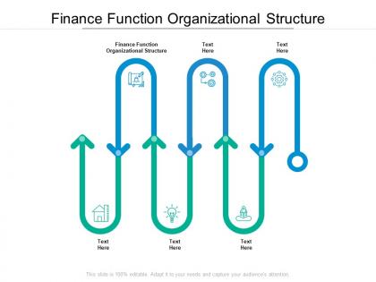 Finance function organizational structure ppt powerpoint presentation aids cpb