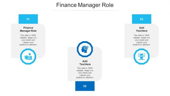 Finance Manager Role Ppt Powerpoint Presentation Professional Layouts Cpb