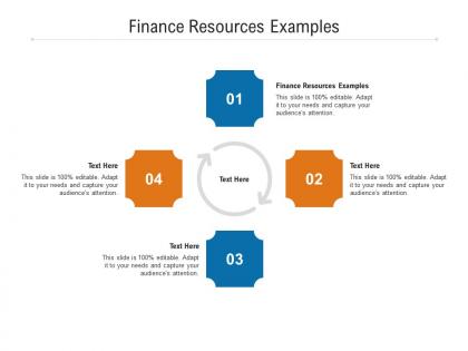 Finance resources examples ppt powerpoint presentation styles icons cpb