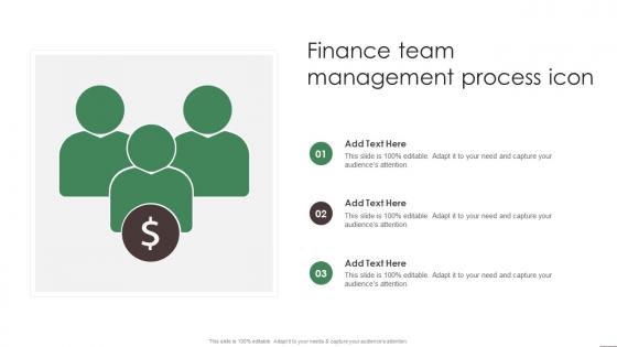 Finance Team Management Process Icon