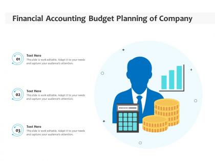 Financial accounting budget planning of company