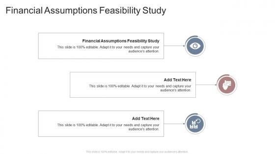 Financial Assumptions Feasibility Study In Powerpoint And Google Slides Cpb