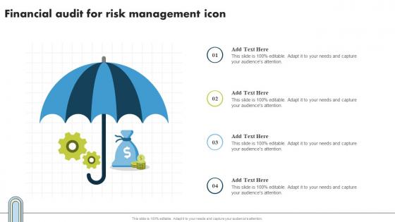 Financial Audit For Risk Management Icon