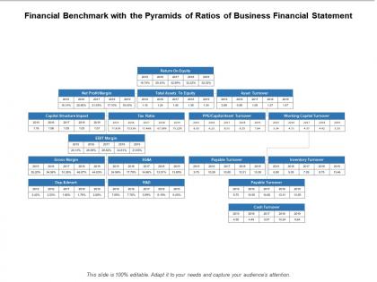 Financial benchmark with the pyramids of ratios of business financial statement