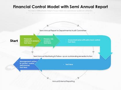 Financial control model with semi annual report