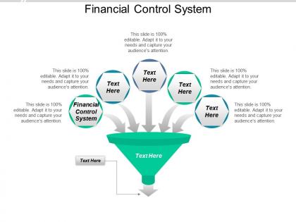 Financial control system ppt powerpoint presentation infographic template portrait cpb