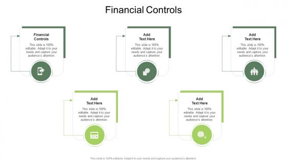 Financial Controls In Powerpoint And Google Slides Cpb