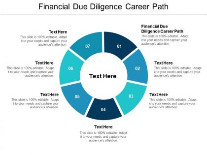 Financial due diligence career path ppt powerpoint presentation infographic template vector cpb