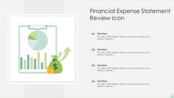 Financial Expense Statement Review Icon