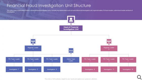 Financial Fraud Investigation Unit Structure