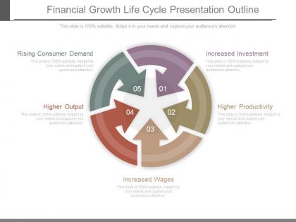 Financial growth life cycle presentation outline