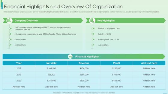 Financial Highlights And Overview Of Organization Fundraising Strategy Using Financing