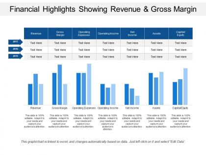 Financial highlights showing revenue and gross margin