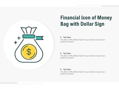 Financial icon of money bag with dollar sign