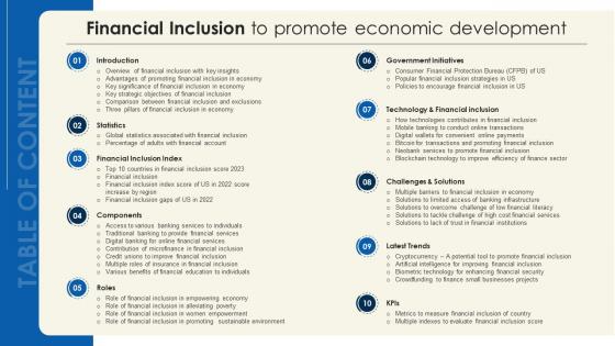 Financial Inclusion To Promote Economic Development Table Of Content Fin SS