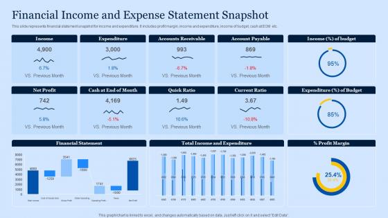 Financial Income And Expense Statement Snapshot