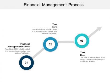 Financial management process ppt powerpoint presentation file graphics pictures cpb