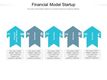 Financial model startup ppt powerpoint presentation infographic template structure