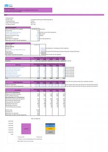 Financial Modeling For Consulting Advertising And Marketing Agency In Excel BP XL