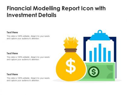 Financial modelling report icon with investment details